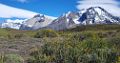 0483-dag-23-012-Torres del Paine Los Cuernos Lago Nordenskjold